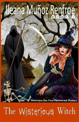 Cover of The Wisterious Witch