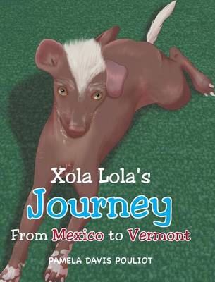 Cover of Xola Lola's Journey from Mexico to Vermont
