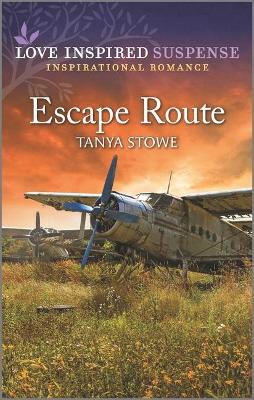 Book cover for Escape Route