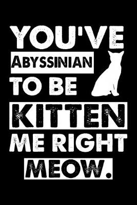 Book cover for You've Abyssinian To Be Kitten Me Right Meow