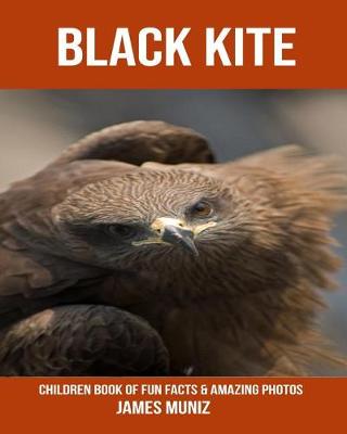 Book cover for Black Kite