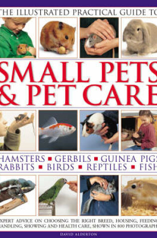 Cover of The Illustrated Practical Guide to Small Pets and Pet Care