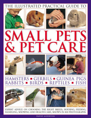 Book cover for The Illustrated Practical Guide to Small Pets and Pet Care