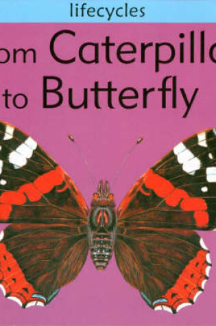 Cover of From Caterpillar to Butterfly