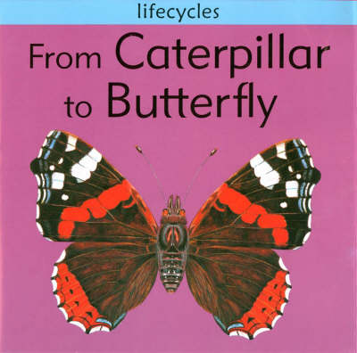 Cover of From Caterpillar to Butterfly