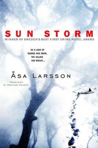 Cover of Sun Storm