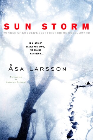 Cover of Sun Storm