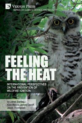 Book cover for Feeling the heat
