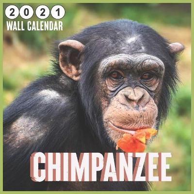 Book cover for chimpanzee 2021 Wall calendar