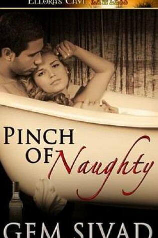Cover of Pinch of Naughty