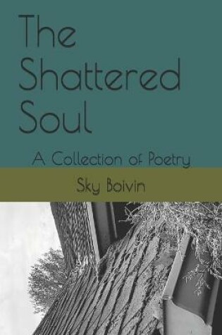 Cover of The Shattered Soul