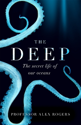 Book cover for The Deep