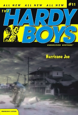 Cover of Hurricane Joe