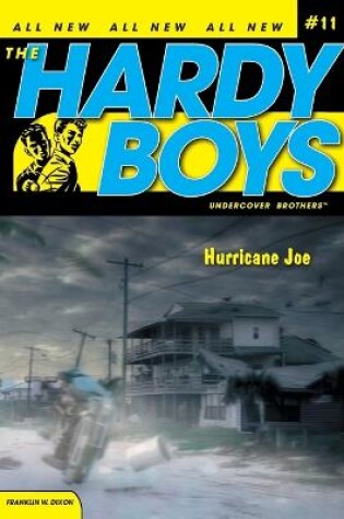 Cover of Hurricane Joe