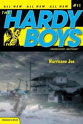 Book cover for Hurricane Joe