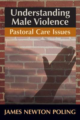 Book cover for Understanding Male Violence