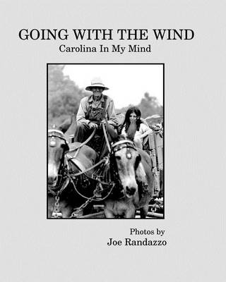 Book cover for Going With The Wind