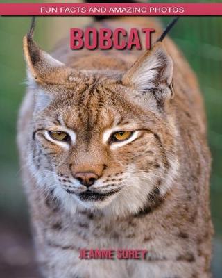 Book cover for Bobcat