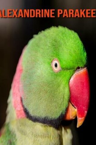 Cover of Alexandrine Parakeet