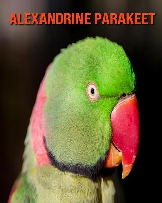 Book cover for Alexandrine Parakeet