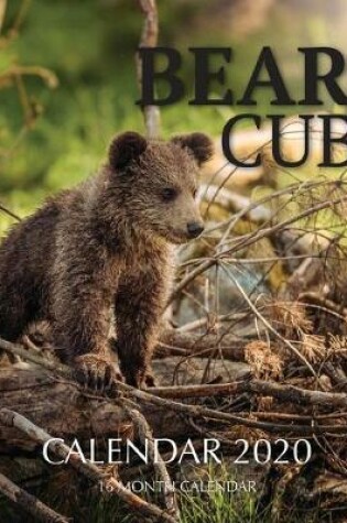 Cover of Bear Cubs Calendar 2020