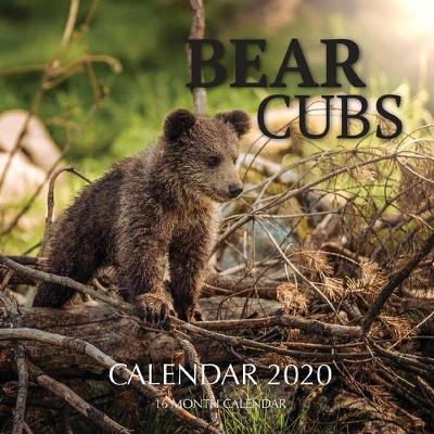 Book cover for Bear Cubs Calendar 2020