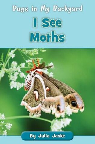 Cover of I See Moths