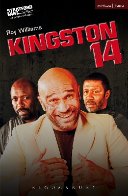 Book cover for Kingston 14