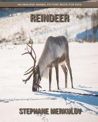 Book cover for Reindeer