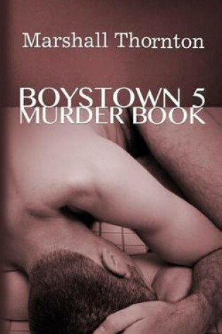 Cover of Boystown 5