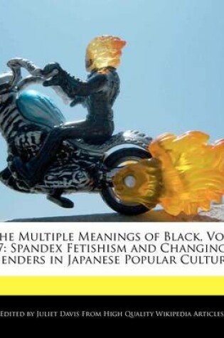 Cover of The Multiple Meanings of Black, Vol. 7