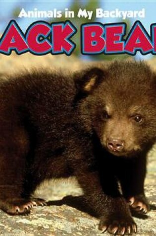 Cover of Black Bears with Code