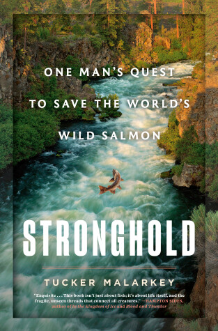 Book cover for Stronghold