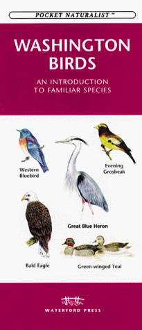 Book cover for Washington Birds
