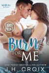Book cover for Burn For Me