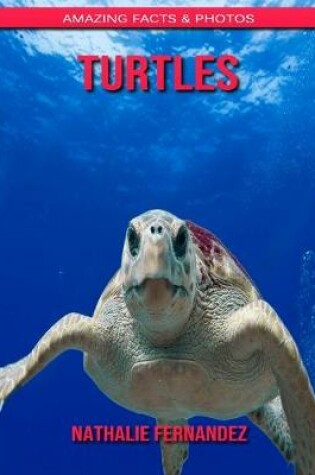 Cover of Turtles