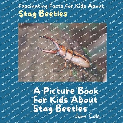Book cover for A Picture Book for Kids About Stag Beetles