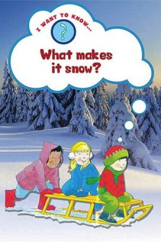 Cover of What Makes it Snow?