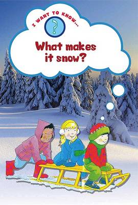 Book cover for What Makes it Snow?
