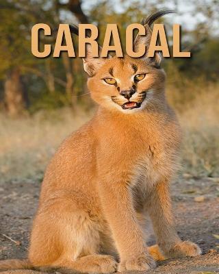 Book cover for Caracal