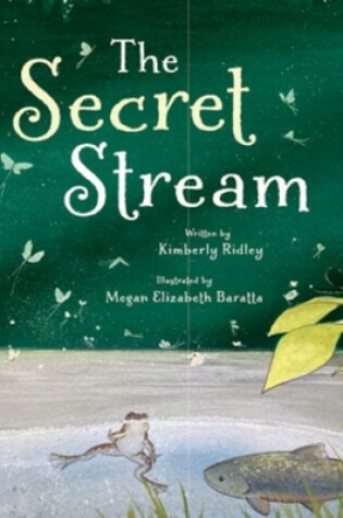 Cover of The Secret Stream