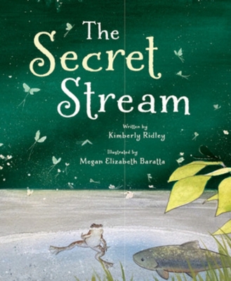 Book cover for The Secret Stream