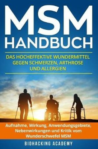 Cover of MSM Handbuch