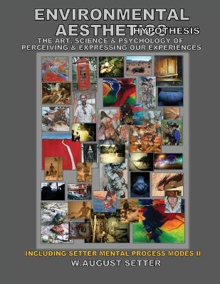 Book cover for Environmental Aesthetics Hypothesis