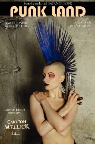 Cover of Punk Land