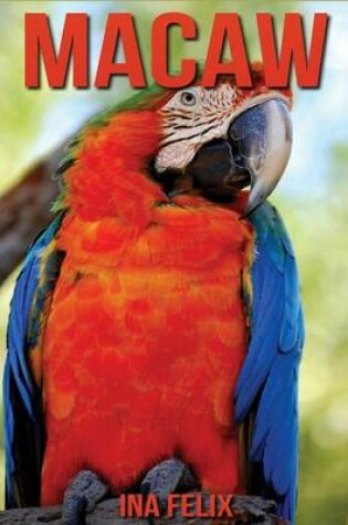 Cover of Macaw