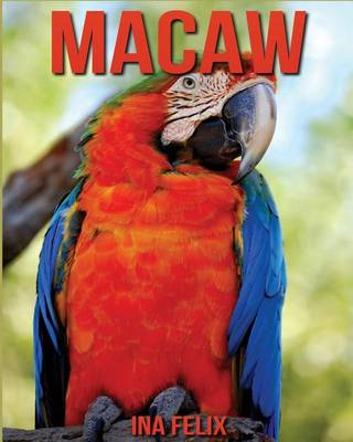 Book cover for Macaw