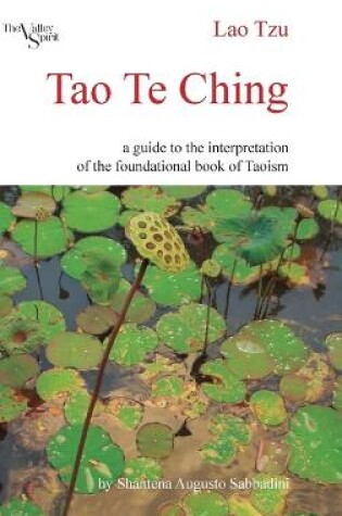 Cover of Tao Te Ching: a Guide to the Interpretation of the Foundational Book of Taoism