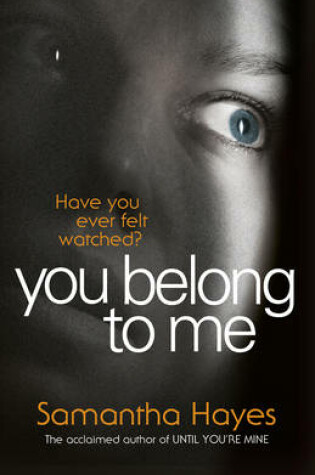 Cover of You Belong To Me