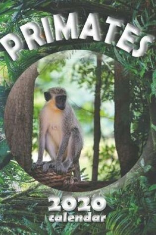 Cover of Primates 2020 Calendar